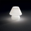 DOROTA 1x60W E27/E14 Stolní dekorativní lampa, těleso a difuzor foukané sklo bílé leptané, pro žárovku 1x60W E27, 230V, IP20, tř.2, rozměry d=225mm, v=240mm náhled 3