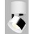 BRON C LED 11W Stropní přisazené bodové svítidlo, nastavitelný směr svícení, těleso hliník, povrch bílá/chrom, LED 1x11W, 770lm, teplá 3000K, Ra80, stmív DALI/PUSH, 230V, IP20, rozměry d=77mm, výška: 98,5mm