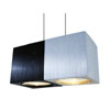 BERYL DOUBLE - Závěsné svítidlo, materiál hliník, povrch kombinace kartáčovaný a černá, 2x50W, Gx5,3 (GU5,3), 230V/12V, IP20, rozměr 120x60x60mm, závěs 1200mm, včetně světelného zdroje.