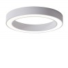 BARCHA PL 30W Stropní, přisazené svítidlo, těleso hliník, povrch černá, dif plast opál, LED 30W, 1500lm, teplá 3000K, 230V, IP20, rozměry d=400mm, h=85mm. náhled 2
