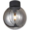 TRINO 1X60W E27 PŘISAZENÉ Stropní, přisazené svítidlo, těleso kov, povrch černá, difuzor sklo kouř, pro žárovku 1x60W, E27, 230V, IP20, tř.2, rozměry d=250mm, h=295mm náhled 1