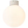 TRINO 1X60W E27 PŘISAZENÉ Stropní, přisazené svítidlo, těleso kov, povrch černá, difuzor sklo kouř, pro žárovku 1x60W, E27, 230V, IP20, tř.2, rozměry d=250mm, h=295mm náhled 4
