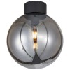 TRINO 1X60W E27 PŘISAZENÉ Stropní, přisazené svítidlo, těleso kov, povrch černá, difuzor sklo kouř, pro žárovku 1x60W, E27, 230V, IP20, tř.2, rozměry d=250mm, h=295mm náhled 5