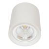 FENCES LED 30W Stropní, přisazené svítidlo, těleso kov, povrch bílá, krycí sklo čiré LED 30W, 2700lm, neutrální 4100K, vyzař. úhel 60°, Ra80, 230V, tř.1, symbol "F", d=170mm, h=185mm náhled 1