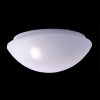 DENI Stropní svítidlo, základna plast bílá, difuzor sklo opál, 60W, E27, 230V, IP44, d=280mm, v=105mm. náhled 1