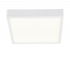 ALI LED 22W IP20 NEDODÁVÁ SE!Přisazené stropní svítidlo, těleso hliník, povrch bílá mat, difuzor plast opál, LED 1x22W, 2475lm/1980lm, neutrální 4000K, stmív TRIAC, 230V, IP20, tř.2, rozměry h=26mm, 170x170mm náhled 3