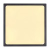 ABAK SQ Stropní přisazené svítidlo, základna hliník, povrch černá, difuzor plast opál, LED 22W, 1980lm, neutrální 4000K, Ra80, stmívatelné triakovými stmívači, 230V, IP20, tř.2, rozměry 170x170x26mm náhled 4