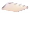 PIRO LED 48W VÝPRODEJ Stropní svítidlo, bílá, difuzor plast opál, efekt hv nebe, LED 48W, 3200lm, dálk ovl. nebo telef Tuya WiFi stmívatelné, CCT nast teplota teplá 3000K - denní 6400K, Ra80, 230V, IP20, 495x49 náhled 1