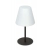REACE TL 1x42W, IP44 Stojací venkovní lampa, těleso kov, povrch černá antracit, difuzor plast opál, pro žárovku 1x42W, E27, IP44, rozměry d=280mm, h=529mm. náhled 1