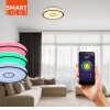 APIS smart Stropní svítidlo, difuzor plast opál, det černá, LED 40W, 4400lm, dálk ovl, nebo smart telefon Tuya, WiFi, stmív, nast teplota CCT teplá 2700K - denní 6000K, RGBW, 230V, IP44, d=500mm, h=80mm náhled 27