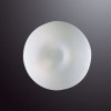 RANDY stropní 60W E27 Stropní svítidlo, základna kov, povrch nikl mat, difuzor sklo bílé, pro žárovku 2x60W, E27, 230V, IP20, d=400mm, h=150mm náhled 2