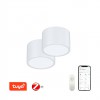 DALMATICA PL 12W, TUYA-Z 2ks Stropní svítidlo, 2ks, kov, bílá,  dif plast opál, LED 12W, 840lm, smart TUYA, Matter Zigbee 3.0, dálk ovl. (souč.) nebo mob. tel. CCT nast teplá 2700K-denní 6500K, stmív, 230V, d=150mm, h=100mm náhled 1