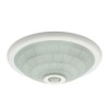 RAPS Stropní svítidlo, PIR senzor pohybu úhel 150°, dosah 8m, čas 8s-8min, soumr 5lx-2000lx, kov, bílá, difuzor sklo opál, pro žárov 2x40W, E27, 230V, IP20, d=300mm, h=95mm náhled 1