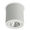 TOKA Stropní, přisazené, bodové svítidlo, výklopné +-20°, základna hliník, povrch bílá, LED 6W, 650lm, teplá 3000K, Ra80, 230V, IP20, tř.2, rozměry d=90mm, h=95mm náhled 1