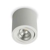 TOKA Stropní, přisazené, bodové svítidlo, výklopné +-20°, základna hliník, povrch bílá, LED 6W, 650lm, teplá 3000K, Ra80, 230V, IP20, tř.2, rozměry d=90mm, h=95mm náhled 3