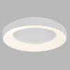 CAHORS LED CCT 3000K/4000K kruhové Stropní svítidlo, těleso hliník, povrch bílá, difuzor plast opál PMMA, LED 40W, 2430lm, přepínatelná teplita CCT teplá 3000K, neutrální 4000K, stmív DALI, 230V, IP20, rozměry d=480mm, h=90mm náhled 1