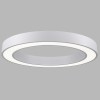 CALAIS LED kruhové Stropní svítidlo, těleso hliník, povrch bílá, difuzor plast opál, LED 50W, 3300lm, přepínatelná teplota CCT teplá 3000K, neutrální 4000K, stmív DALI, Ra80, 230V, IP20, tř.1, rozměry d=600mm, h=80mm náhled 1