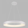 LEGNICA S Závěsné svítidlo, těleso hliník, povrch bílá, dif plast opál, LED 38W, 2660lm, TW Tunnable white CCT teplá 3000K-neutr 4000K, stmív. Zigbee, 230V, IP20, d=480mm, h=35mm, vč záv h=2500mm náhled 1