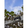 SOLAR AR 2W PIR Nástěnné svítidlo plast černá, PIR senzor pohybu záběr 120°, čas 30s, dosah 10m, LED 2W, 150lm, neutr 4000K, Ra80, napájení solární panel, baterie, výdrž svíc 2h, nebo 120 zap/vyp, IP44, 180x95x48mm náhled 12