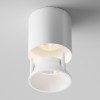 HABEO R reflektor Výměnný reflektor pro svítidla, kruhový, těleso plast zlatá, rozměry d=67mm, h=37mm, POUZE REFLEKTOR náhled 4