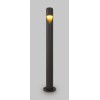 TAPKO FL 5W IP65 Sloupkové venkovní svítidlo, těleso kov, povrch černá grafit, LED 5W, 200lm, teplá 3000K, Ra80, 230V, IP65, rozměry d=50mm, h=600mm, svítí dolů. náhled 1