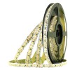 LED pásek MOŘSKÉ PLODY a RYBY 14W/m, 1465lm/m, 24V LED pásek pro osvětlení ryb a mořských plodů, 14,4W/m, 1465lm/m, 24V, rozteč LED 5,5mm, 180LED/m, rozměry w=10mm, l=5000mm, dělení po 6LED/33,3mm, cena za 1m náhled 2