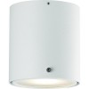 IP S4 VÝPRODEJ Stropní svítidlo, nastavitelný sklon svícení +-20°, těleso kov, nebo broušená ocel, difuzor plast, pro LED 1x8W, GU10 ES50, 230V, do koupelny IP44, tř.2, rozměry d=100mm, h=110mm náhled 2
