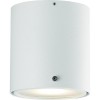 VALI stropní 8W GU10 IP44 do koupelny Stropní svítidlo, nastavitelný sklon svícení +-20°, těleso kov bílá, difuzor plast, pro LED 1x8W, GU10 ES50, 230V, do koupelny IP44, tř.2, rozměry d=100mm, h=110mm náhled 2