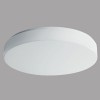 DELIA 2 LED-1L16B07KN83/PM23 3000 Stropní svítidlo, základna kov, povrch bílá, difuzor plast PMMA, LED 36W, teplá 3000K, 4850l, (cca 250W žár), Ra80, 230V, IP54, tř.1, d=400mm, h=80mm náhled 1