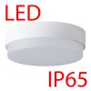 TRITON 2 LED-1L15C07/IN-184 IP65 29W DALI Stropní, průmyslové svítidlo, základna polykarbonát plast, povrch bílá, difuzor plast opál, LED 29W, 3880lm, teplá 3000K, stmív DALI, 230V, do koupelny IP65, IK10, tř.2, rozměry d=360mm, h=10 náhled 2