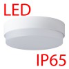 TRITON 2 LED-1L15C07/IN-184 IP65 29W DALI Stropní, průmyslové svítidlo, základna polykarbonát plast, povrch šedostříbrná, difuzor plast opál, LED 29W, 3880lm, teplá 3000K, stmív DALI, 230V, do koupelny IP65, IK10, tř.2, d=360mm, h=10 náhled 2