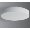 ELSA 16, LED-2L43C10K910/637 3000## Stropní svítidlo, základna kov, povrch bílá, difuzor sklo opál, LED 52W, 7250lm/4710lm, teplá 3000K, Ra80, 230V, IP43,  tř.1, "F", d=590mm, h=94mm náhled 1