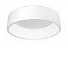CIRCULAR C LED VÝPRODEJ Stropní svítidlo, základna kov, povrch šedostříbrná, difuzor plast opál, LED 42W, teplá 3000K, 2730lm, Ra80, stmív RF dálk ovladač (dodáván samostatně), 230V, IP20, rozměry d=600m náhled 1