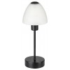 AVENA 1x40W, E14 Stolní lampa, těleso kov, povrch stříbrná, stínítko sklo opál, pro žárovku 1x40W, E14, stmívatelné, 230V, IP20, tř.2, rozměry d=120mm, h=325mm. náhled 2