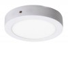 PESS stropní svítidlo LED 24W CHROM KRUH VÝPRODEJ Stropní přisazené svítidlo, kruhové, základna kov, povrch chrom, difuzor plast opál, LED 24W, 1700lm, teplá 3000K, 230V, IP20, tř.1. rozměry d=300mm. náhled 2