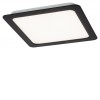 CARUM SQ 5W Stropní svítidlo, těleso plast černá, difuzor plast opál, LED 5W, neutrální 4000K, 450lm, 230V, IP20, tř.2, rozměry 95x95mm. náhled 1