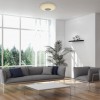 RODAN 24W, CCT, RGB, BT reproduktor Stropní svítidlo, difuzor plast opál, LED 24W, 1800lm, dálk. ovladač(součástí) nebo smart tel, Tuya, stmívatel, CCT nast teplá 3000K-denní 6500K, RGBW, BT repro, Ra80, IP20, 230V, IP20, d=400, h=90mm náhled 18