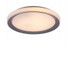 MARPO 40E, CCT, RGB Stropní svítidlo, základna kov, povrch stříbrná, dif plast opál, LED 40W, dálk ovl. natst teplota CCT teplá 2700K - 6500K, 3200lm, stmív, RGB, 230V, IP20, tř.1, d=510mm, h=75mm. náhled 1