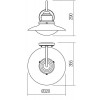 HORSENS Nástěnné venkovní svítidlo, těleso kov, povrch černá antracit, difuzor sklo opál, pro žárovku 1x42W, E27, 230V, IP44, tř.1, rozměry d=320mm, h=290mm. náhled 2