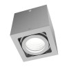 FUTURO A Stropní přisazené svítidlo bodové, výklopné +-30°, materiál hliník, povrch šedostříbrná, pro žárovku 1x50W, GU10 ES50, 230V, IP20, rozměry 93x88x88mm.
