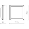 RALALIDO Stropní venkovní svítidlo, základna kov, povrch lak černá antracit, difuzor plast opál, pro žárovku 1x18W, E27, 230V, IP54, tř.1. rozměry 215x215x80mm náhled 4