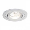 COLINA GU10 1x50W KRUH Vestavné, stropní, bodové svítidlo, výklopné +-30°, těleso hliník, povrch broušený, pro žárovku 1x50W, GU10, ES50, 230V, IP20, tř.1, rozměry d=92mm, h=90mm náhled 2
