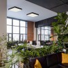 CORIANA SQ LED 30W Stropní, přisazené svítidlo, těleso kov, povrch černá, difuzor plast opál, LED 30W, 2400lm, teplá 3000K, Ra80, 230V, IP20, rozměry 300x300x58mm náhled 10