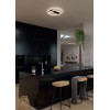 ZARKA 36W Stropní svítidlo, těleso kov, povrch černá a zlatá mat, difuzor plast opál + SMD LED diody, LED 36W, 3922lm, teplá 3000K, Ra80, 230V, IP20, tř.2, rozměry d=500mm, h=78mm. náhled 3