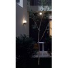 FREC WL 1x28W E27 IP44 Nástěnné venkovní svítidlo, těleso hliník, povrch tm. šedá, difuzor plast opál, pro žárovku 1x28W, E27, 230V, IP44, tř.1, rozměry d=150mm, h=227mm. náhled 3