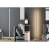 POPE FL 18W  SMART Wifi Stojací lampa, těleso kov, povrch černá, dif plast opál, Smart, Tuya, WiFi, LED 18W, 550lm, teplá 3000K, dálk. ovl. (součástí) stmívatelné, RGB, Ra80, 230V, IP20, rozměry d=155mm, h=1480mm. náhled 5