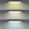 ALSDORF R VÝPRODEJ Stropní přisazené svítidlo, těleso kov, difuzor plast opál, LED 28W, 1960lm, Tuya CCT přepínatelná teplota teplá 3000K, neutrální 4000K, denní 6500K, stmív, 230V, Ra80, IP20, rozměry d=380 náhled 3