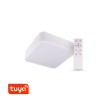 HOLSK SQ 36W, TUYA Stropní svítidlo, kruhové, těleso kov, povrch bílá, dif plast opál, LED 36W, dálk ovl, nebo smart telefon Tuya, WiFi, stmív, nast teplota CCT teplá 3000K - denní 6000K, Ra80, IP20, 400x400x80mm. náhled 1