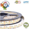 LED pásek 700LED/m 21W/m, 24V, Ra95 VÝPRODEJ LED pásek, 700LED/m, 21W/m, teplá 3000K, 2000lm/m, vyzařovací úhel 120°, Ra95, 24V, dělení po 9,96mm, rozměry w=12mm, l=5000mm, cena za 1m náhled 2