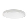 AJA R, LED 24W, IP44 VÝPRODEJ Stropní svítidlo, těleso plast opál, povrch bílá, difuzor plast opál LED 24W, 2040lm, teplá 3000K, 230V, do koupelny IP44, rozměry d=295mm, h=55mm náhled 1